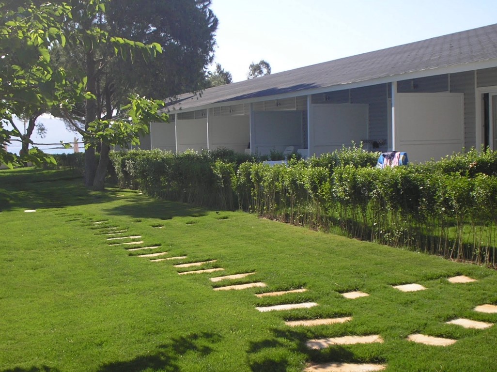 imagini hotel VENOSA DIDIM